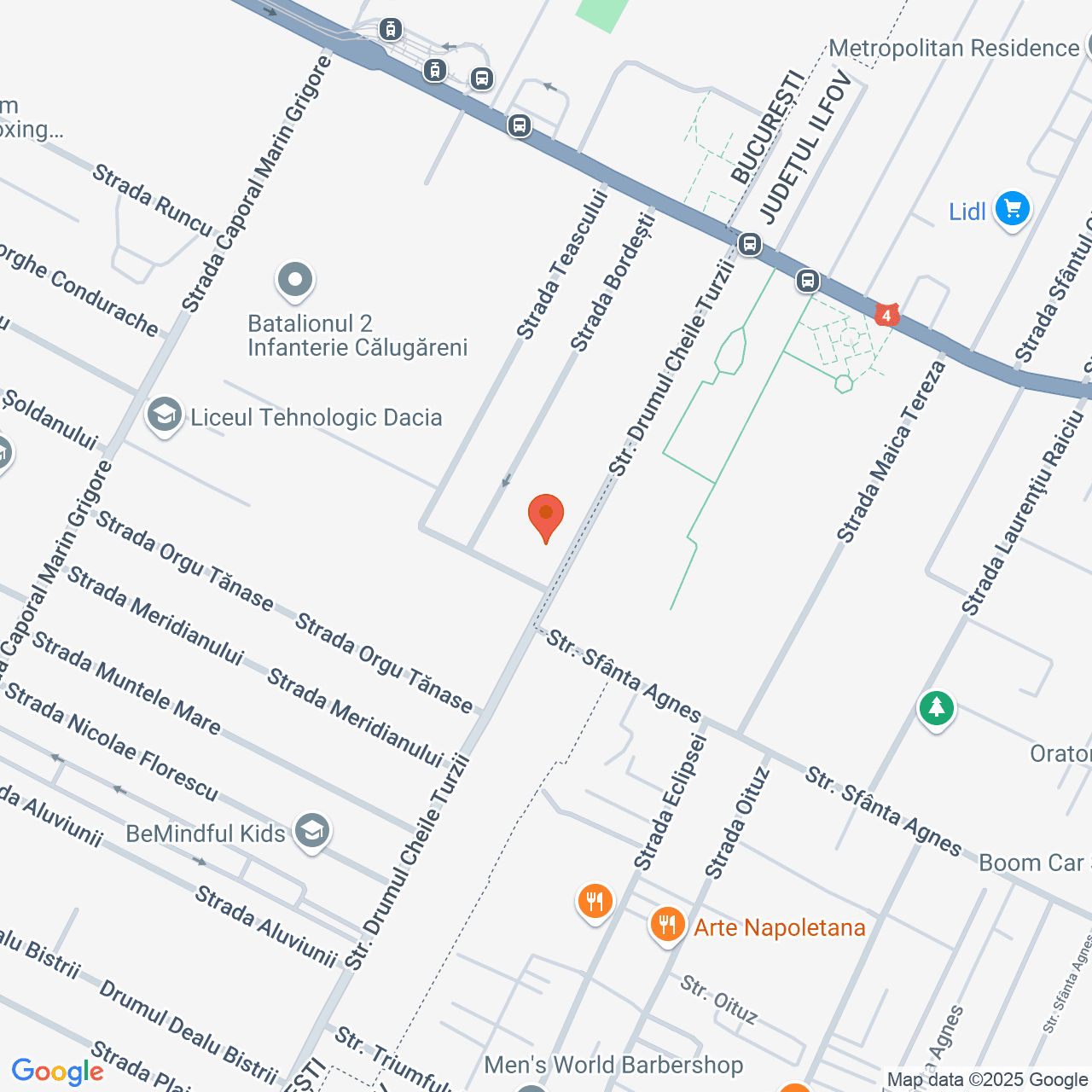 Poza harta streetview, zoom 16, adresa Bucuresti, Drumul Cheile Turzii nr 125, , judetul