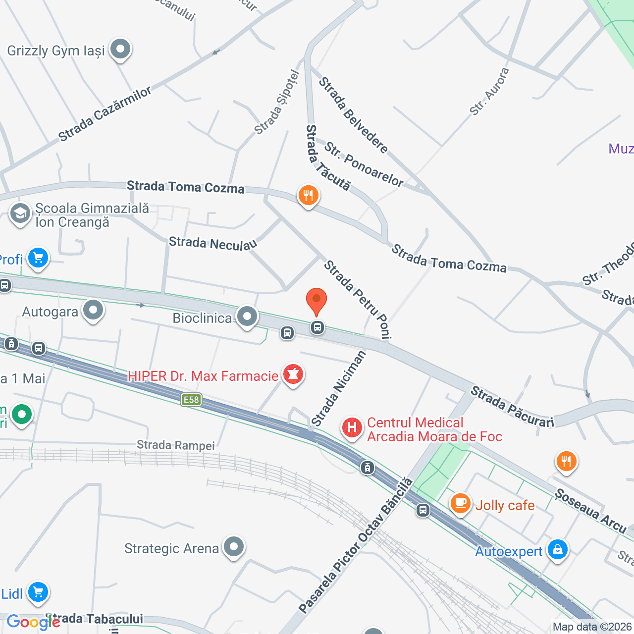 Poza harta streetview, zoom 16, adresa Iasi, str. Pacurari, nr. 122, , judetul