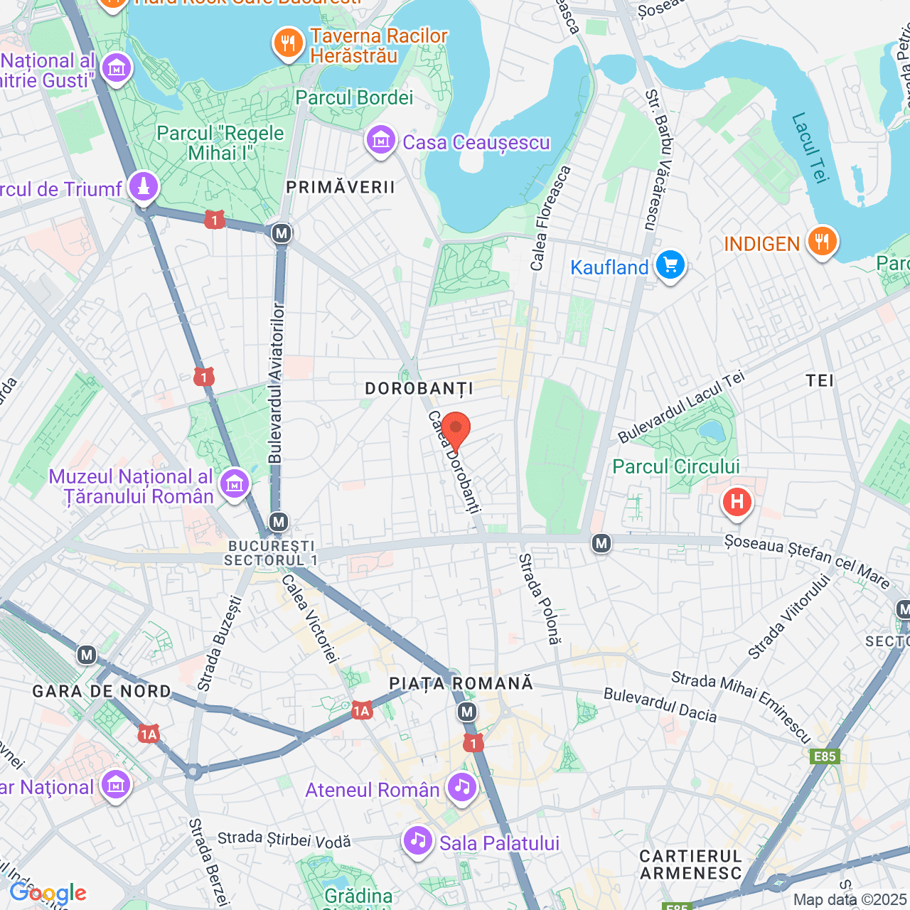 Poza harta streetview, zoom 14, adresa Bucuresti, Calea Dorobantilor nr. 134 – 138, bl. 11,, , judetul