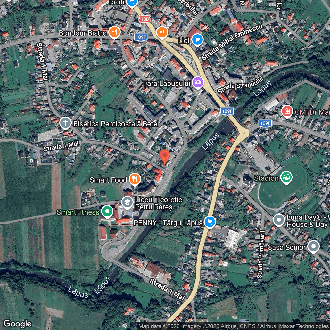 Poza harta hybrid, zoom 16, adresa Târgu Lăpuș, str. Doinei, nr. 44 , , judetul