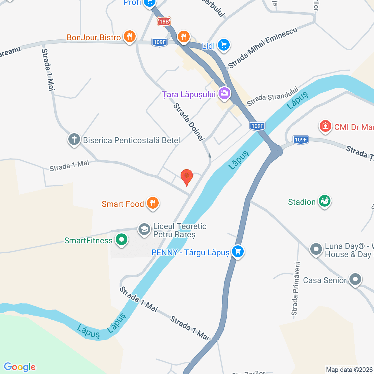 Poza harta streetview, zoom 16, adresa Târgu Lăpuș, str. Doinei, nr. 44 , , judetul