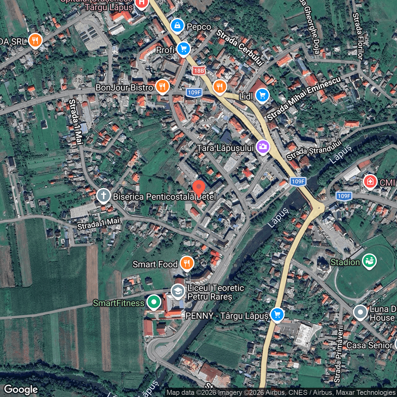 Poza harta hybrid, zoom 16, adresa Târgu Lăpuș, strada 1 Mai nr. 27, , judetul