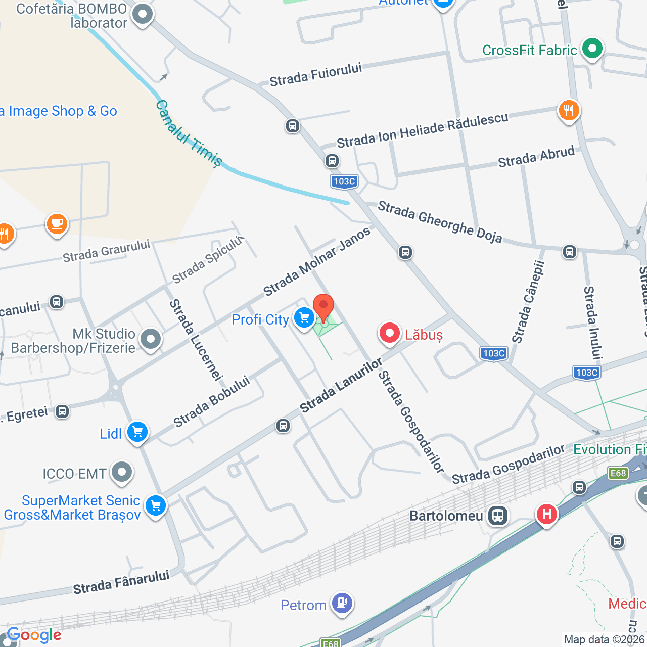 Poza harta streetview, zoom 16, adresa Brașov, str. Gospodarilor, nr. 5, , judetul