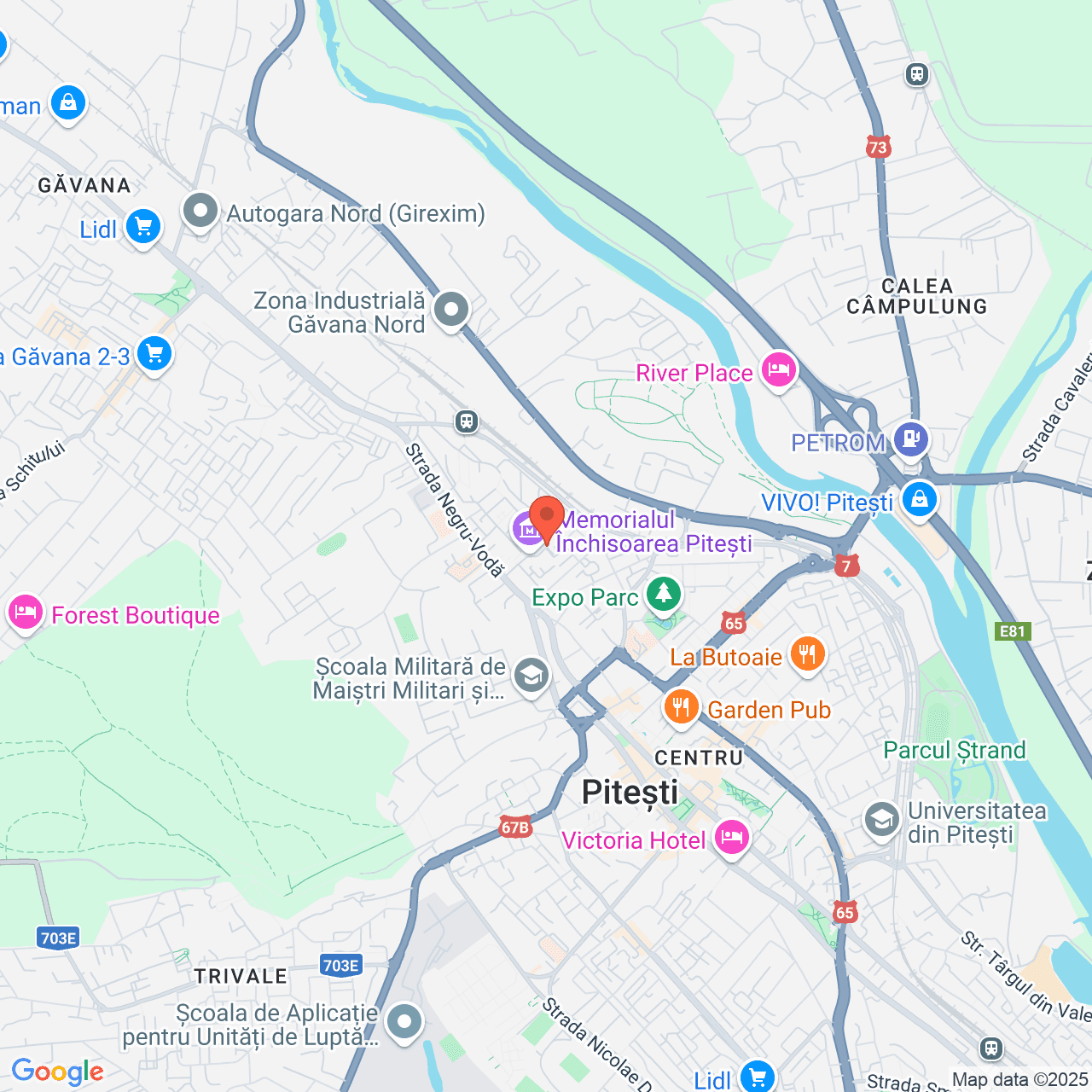 Poza harta streetview, zoom 14, adresa Strada Negru Voda nr. 30, Pitesti, , judetul