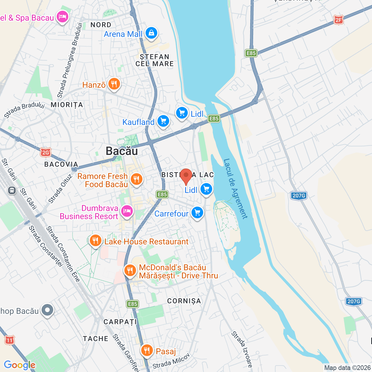 Poza harta streetview, zoom 14, adresa Bacau, str. Livezilor nr. 3, , judetul