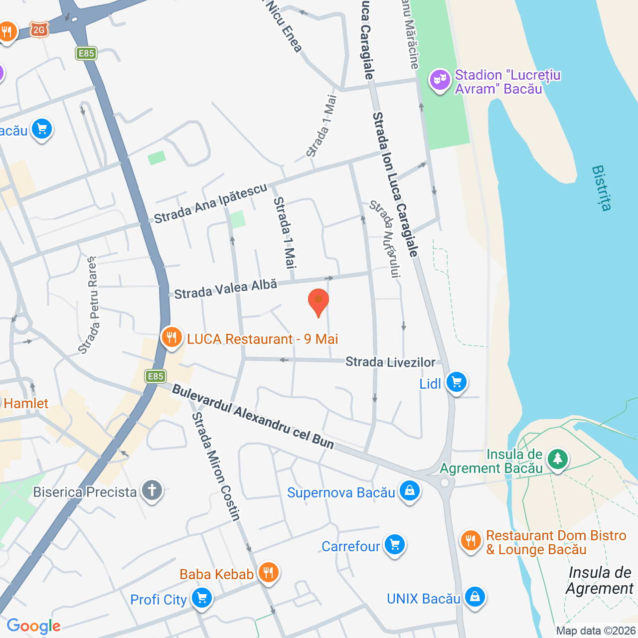 Poza harta streetview, zoom 16, adresa Bacau, str. Livezilor nr. 3, , judetul