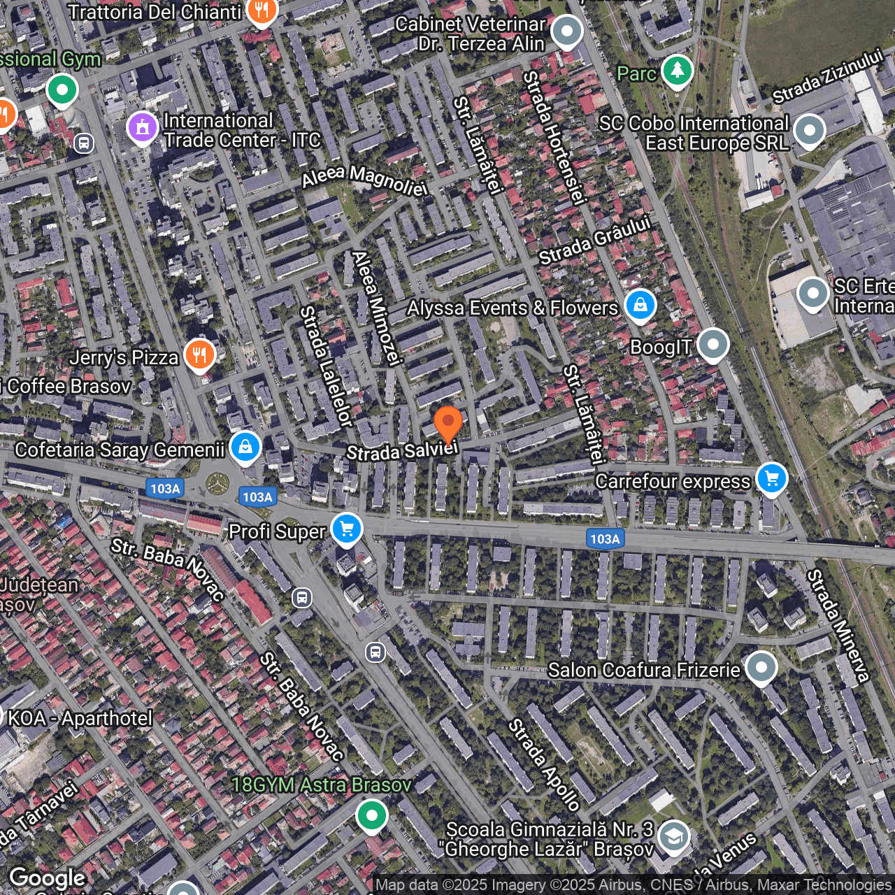 Poza harta hybrid, zoom 16, adresa Brașov, Str. Salviei, , judetul