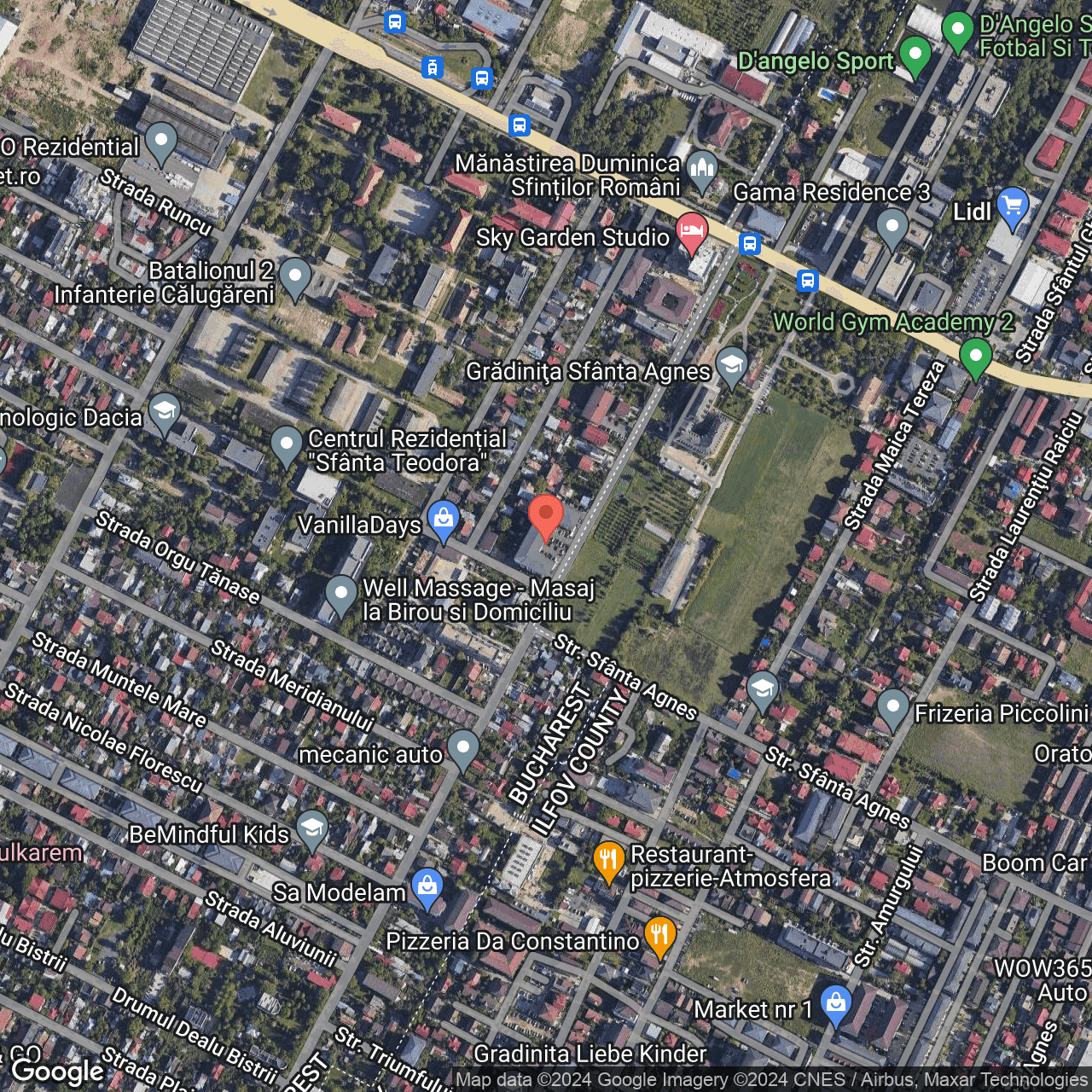 Poza harta hybrid, zoom 16, adresa Bucuresti, Drumul Cheile Turzii nr 125, , judetul