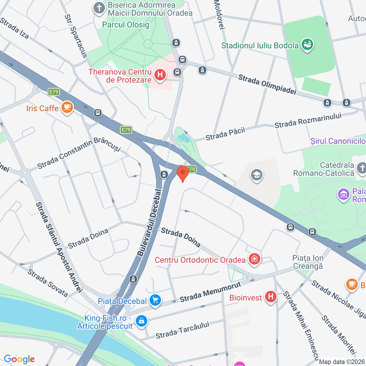 Poza harta streetview, zoom 16, adresa Oradea, str, B-dul Dacia, nr. 121, bl.B1, , judetul