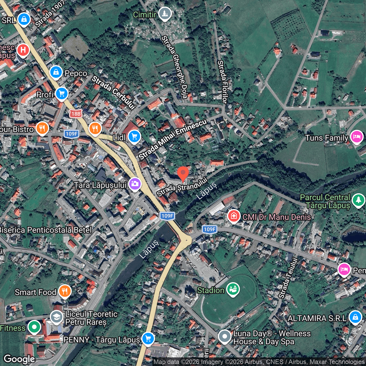Poza harta hybrid, zoom 16, adresa Târgu Lăpuș, pe strada Ștrandului nr. 1, , judetul
