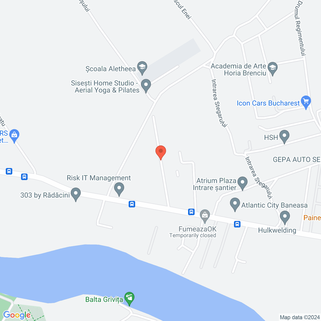 Poza harta streetview, zoom 16, adresa Baneasa Sisesti, , judetul