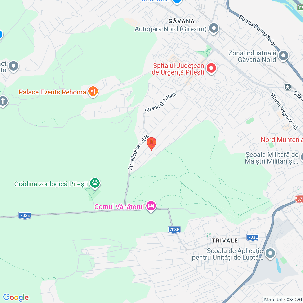 Poza harta streetview, zoom 14, adresa str. Petre Ispirescu, nr. 66, bloc M3, Pitești, , judetul