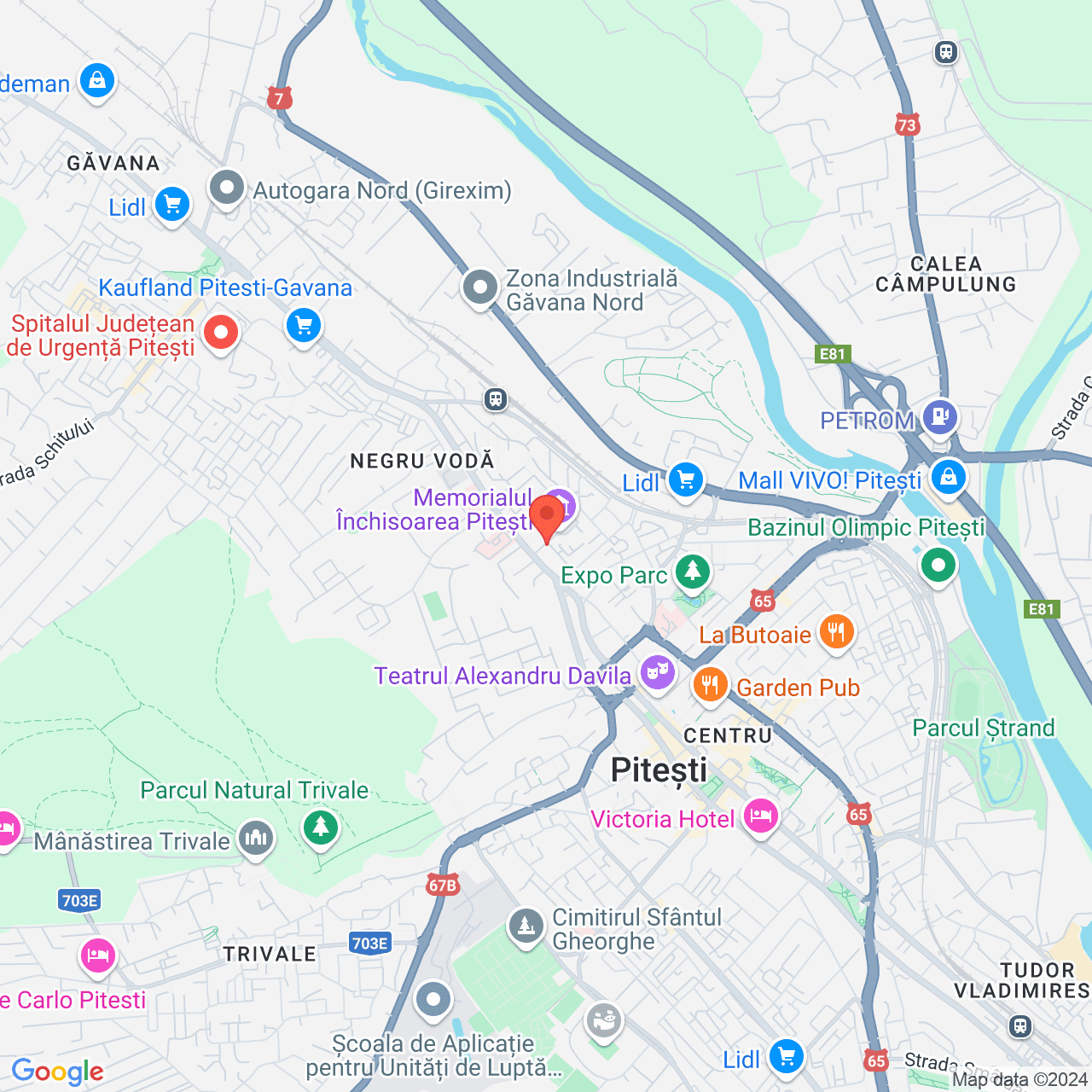 Poza harta streetview, zoom 14, adresa Pitești, Str. Str. Negru Vodă, nr. 30, , judetul