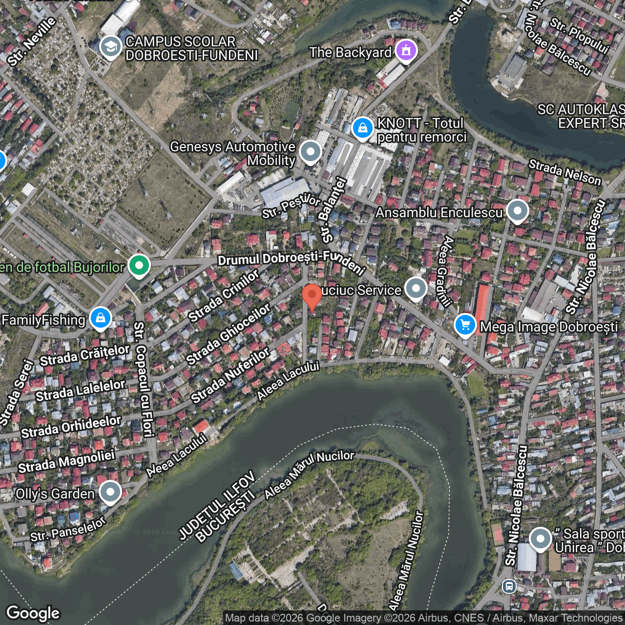 Poza harta hybrid, zoom 16, adresa Strada Trandafirilor nr. 11 Dobroiesti, , judetul