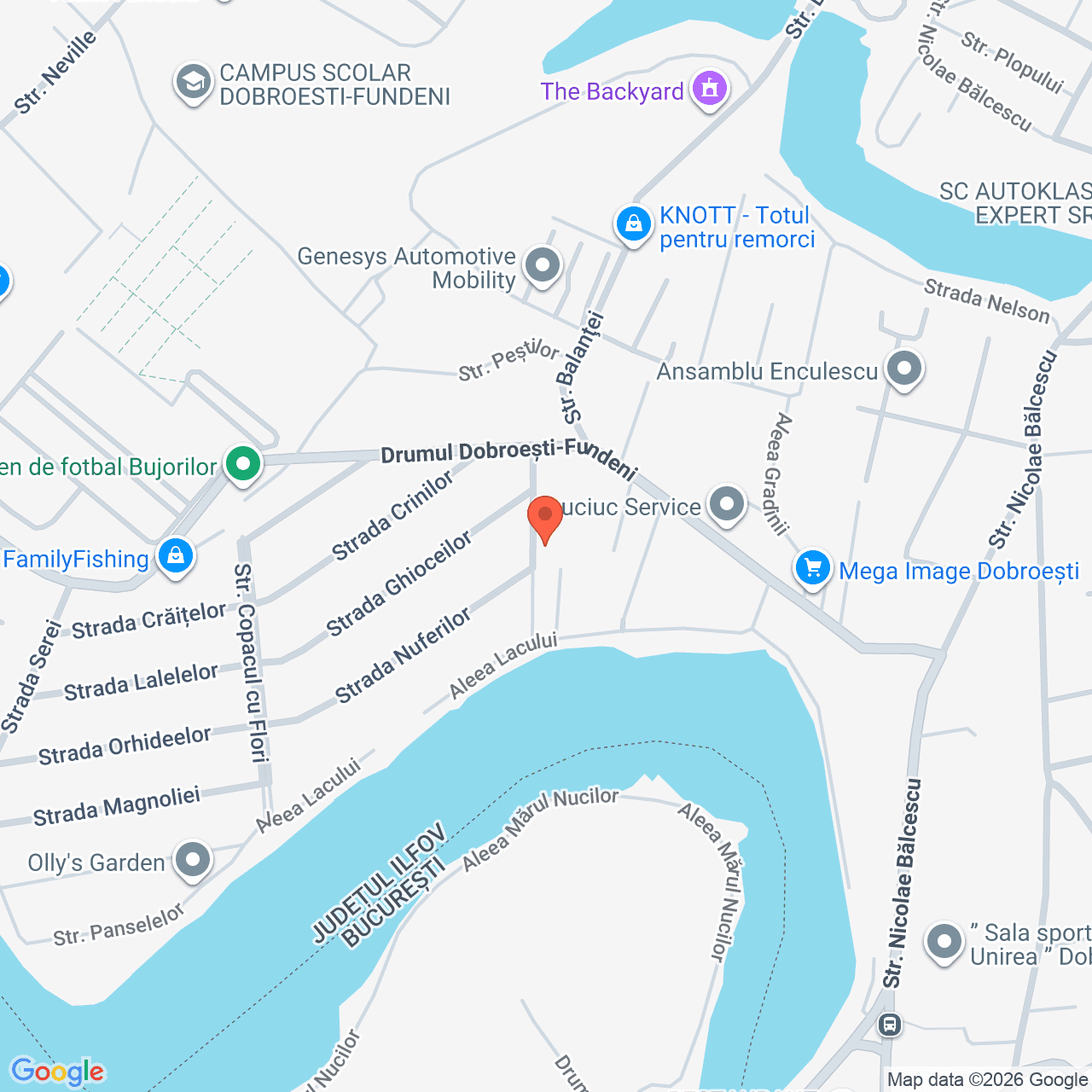 Poza harta streetview, zoom 16, adresa Strada Trandafirilor nr. 11 Dobroiesti, , judetul