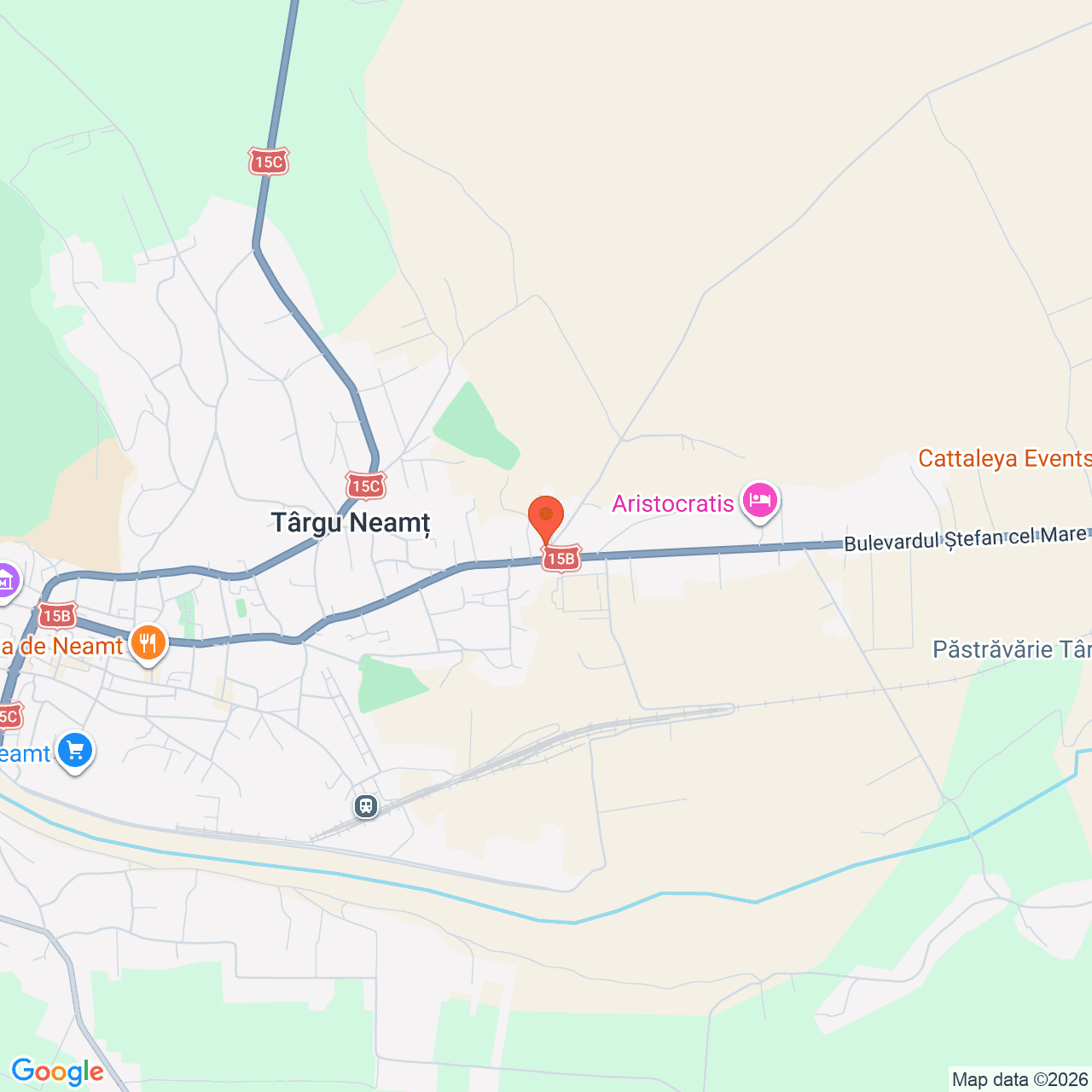 Poza harta streetview, zoom 14, adresa Târgu Neamţ, str. Libertăţii nr. 1, jud. Neamţ, , judetul
