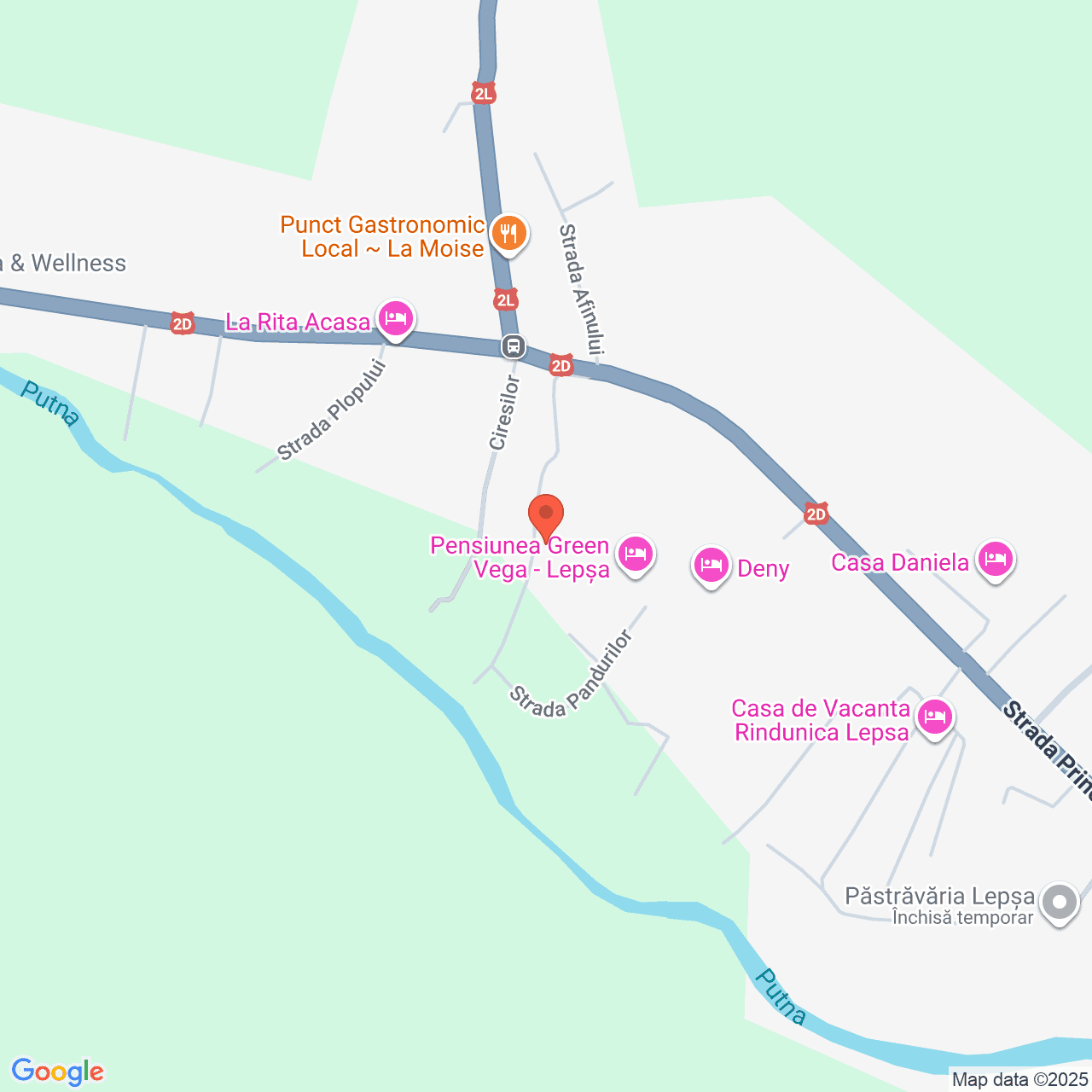 Poza harta streetview, zoom 16, adresa Lepșa, comuna Tulnici, județul Vrancea, , judetul