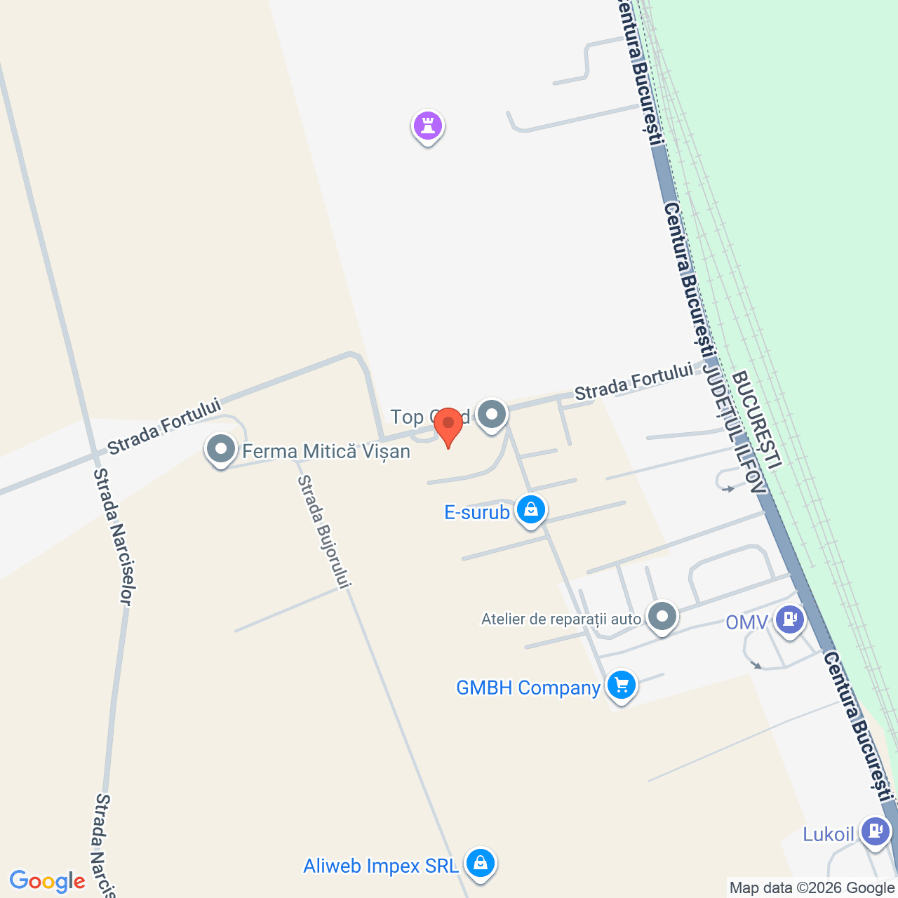 Poza harta streetview, zoom 16, adresa Domnesti Ilfov, , judetul