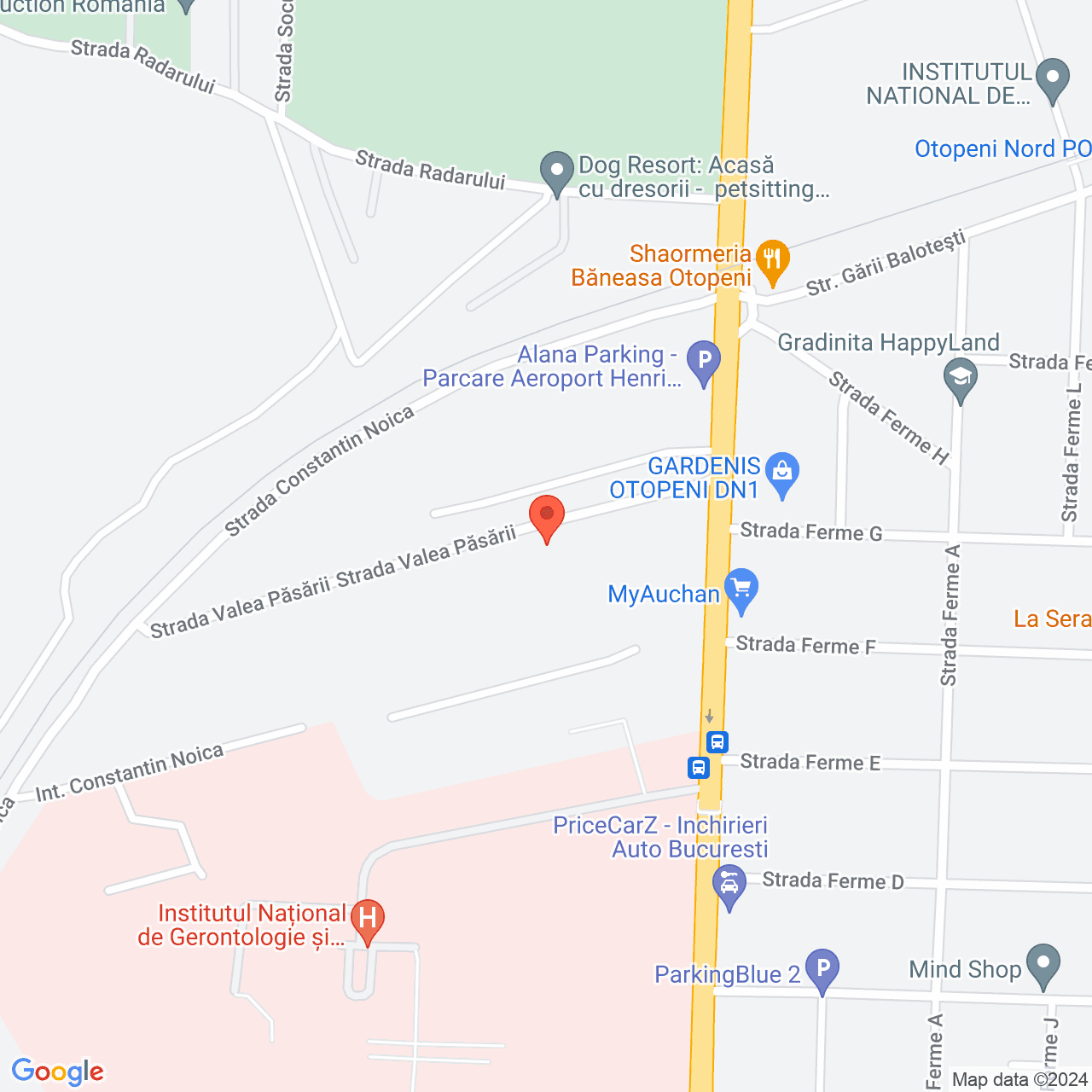 Poza harta streetview, zoom 16, adresa Otopeni, Str. Valea Pasarii, , judetul