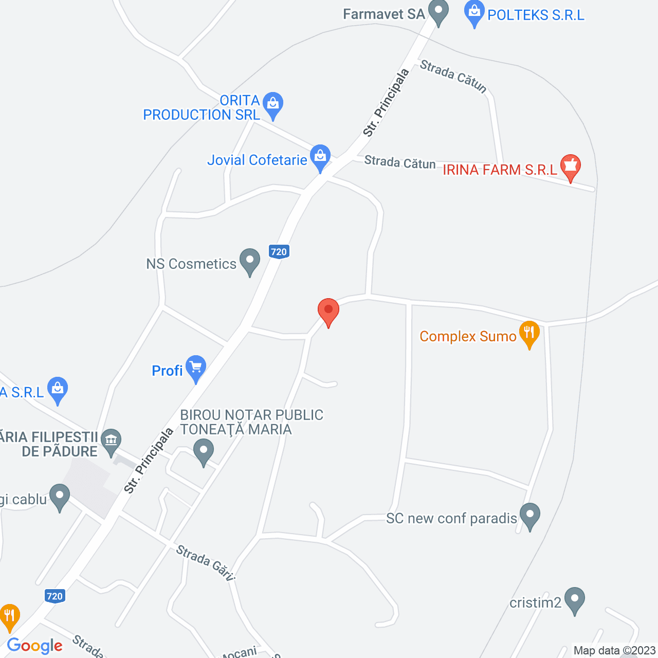 Poza harta streetview, zoom 16, adresa Filipestii de Padure, , judetul