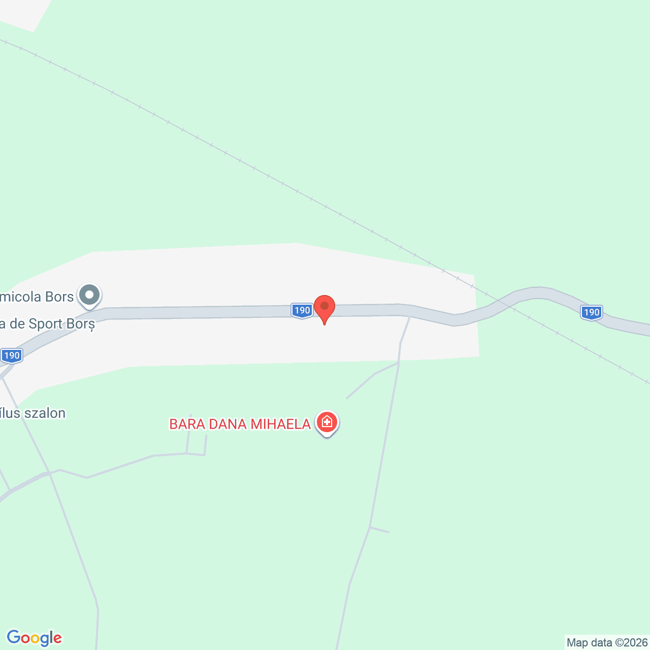 Poza harta streetview, zoom 16, adresa comuna Borș Jud. Bihor, , judetul