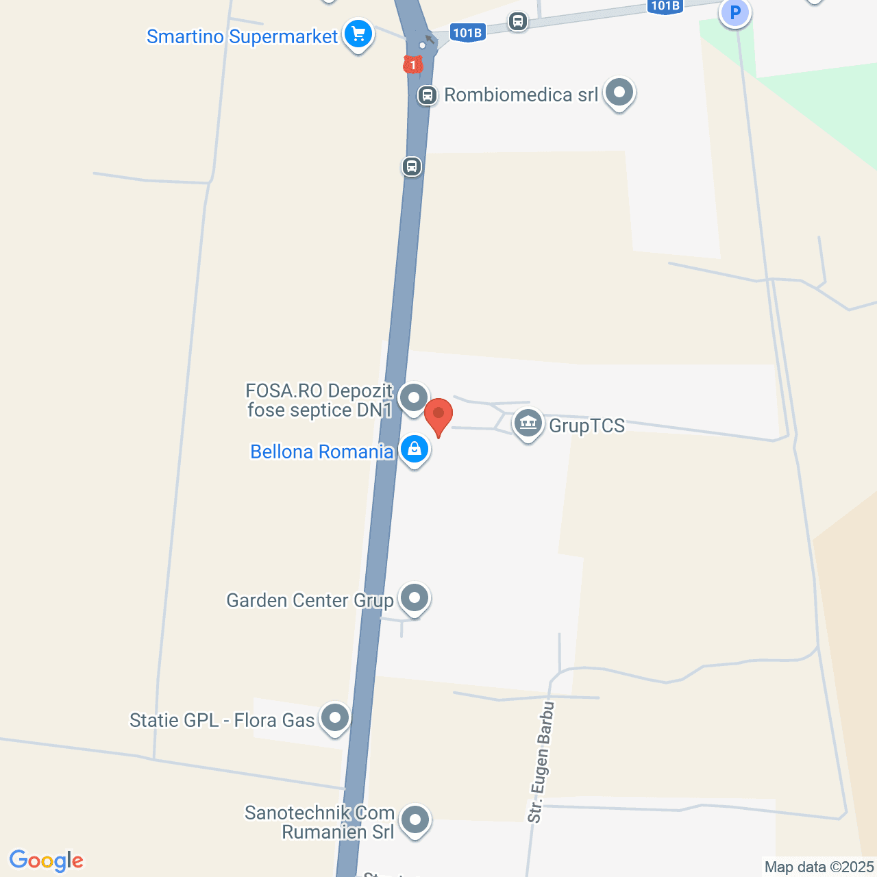 Poza harta streetview, zoom 16, adresa Tancabesti Snagov, , judetul