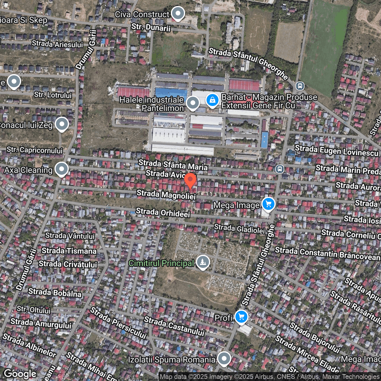 Poza harta hybrid, zoom 16, adresa str Magnoliei nr. 36 Pantelimon, , judetul