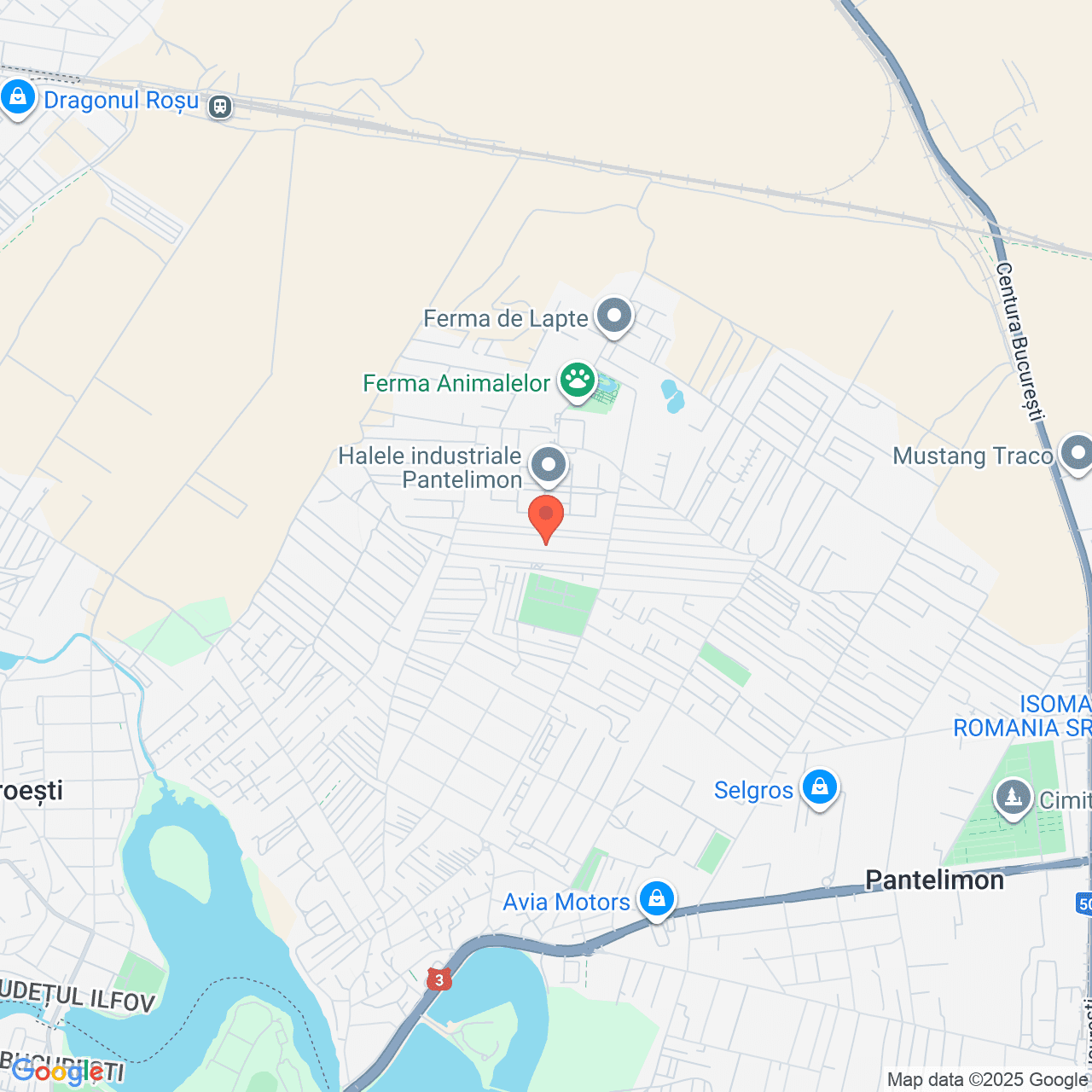 Poza harta streetview, zoom 14, adresa str Magnoliei nr. 36 Pantelimon, , judetul