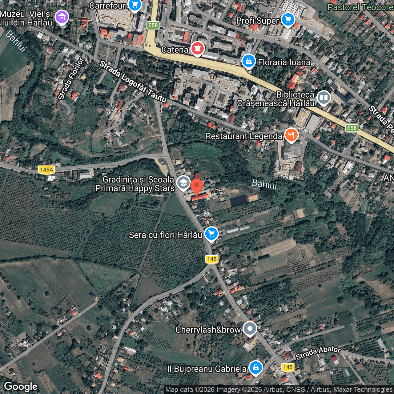Poza harta hybrid, zoom 16, adresa Scobinti Iasi, , judetul