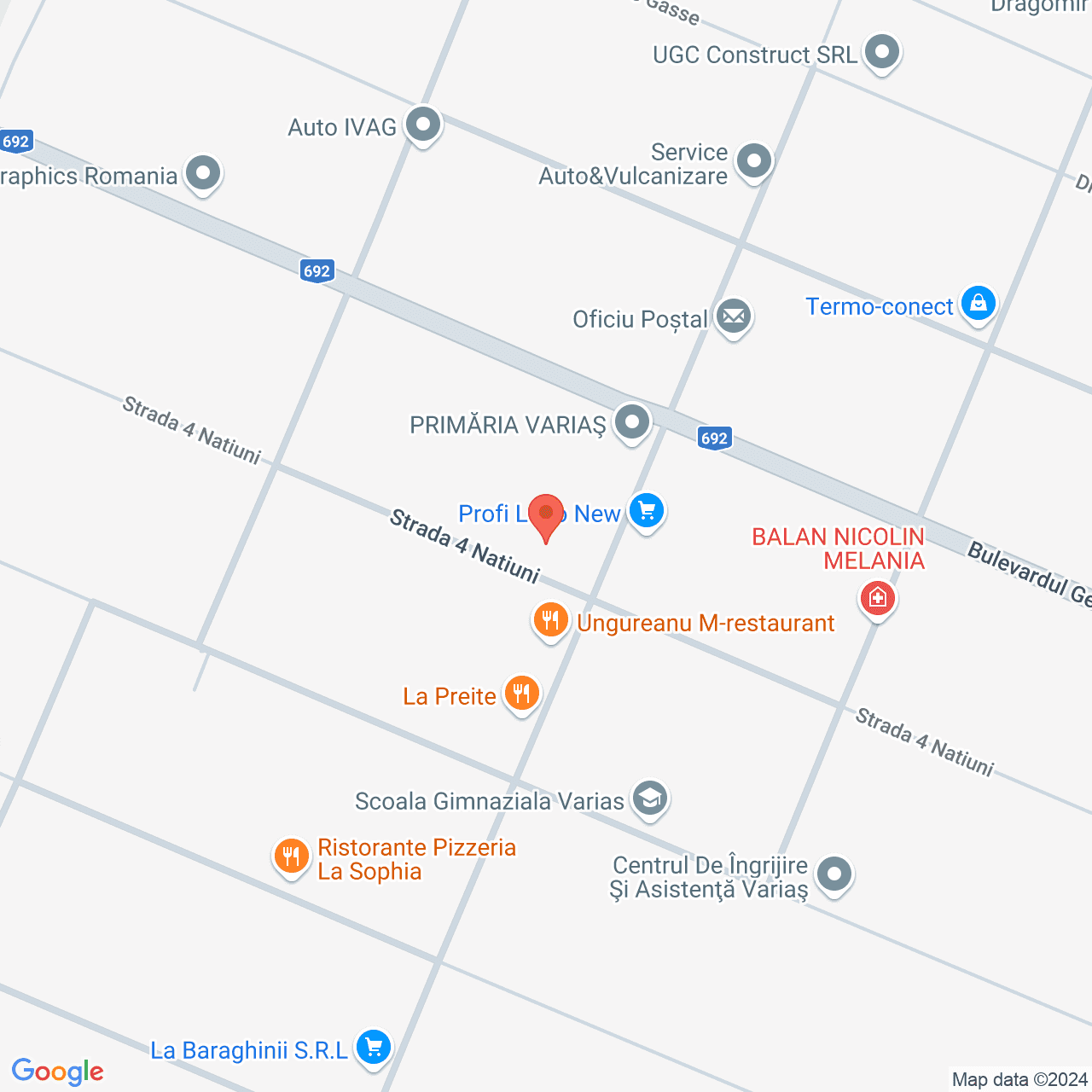 Poza harta streetview, zoom 16, adresa Varias Timis, , judetul