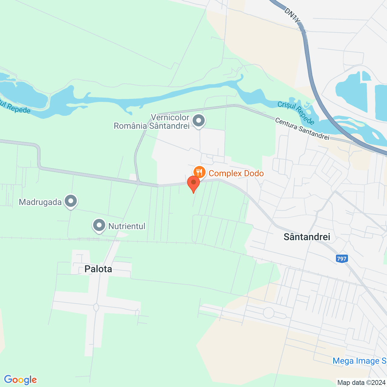 Poza harta streetview, zoom 14, adresa Santandrei Bihor, , judetul