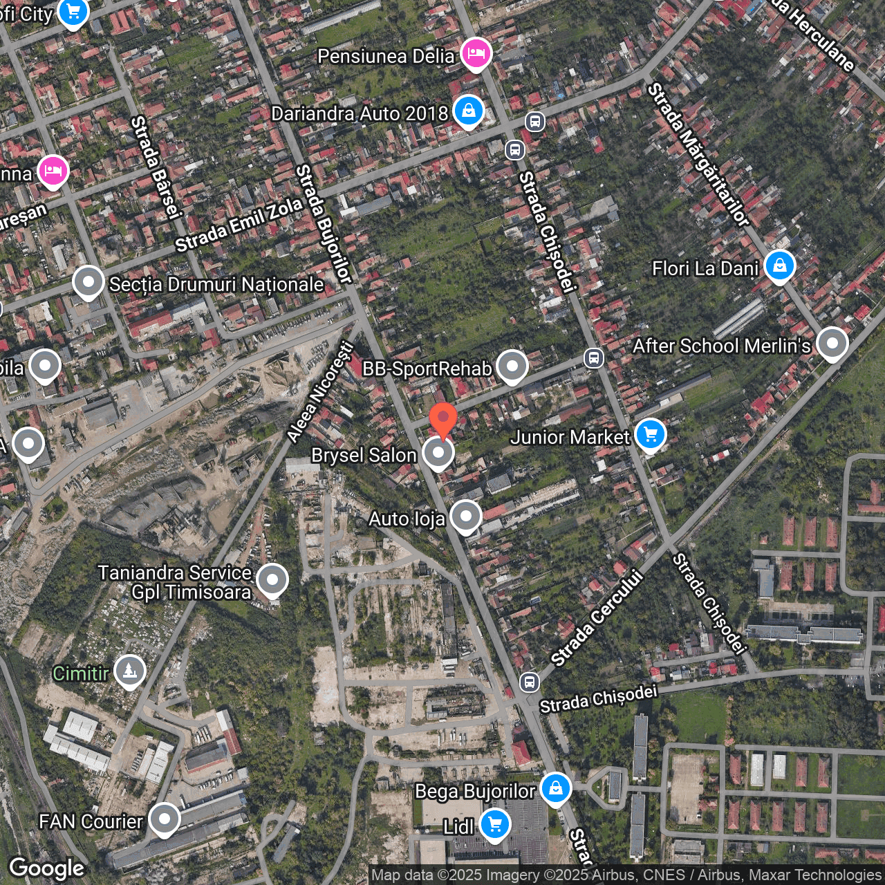 Poza harta hybrid, zoom 16, adresa Timisoara, Str. Bujorilor, nr.157, , judetul