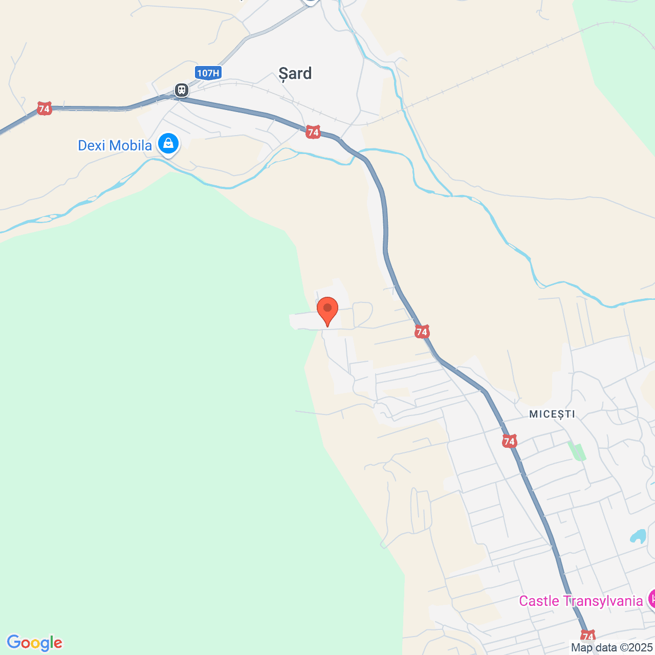 Poza harta streetview, zoom 14, adresa Micesti Alba, , judetul