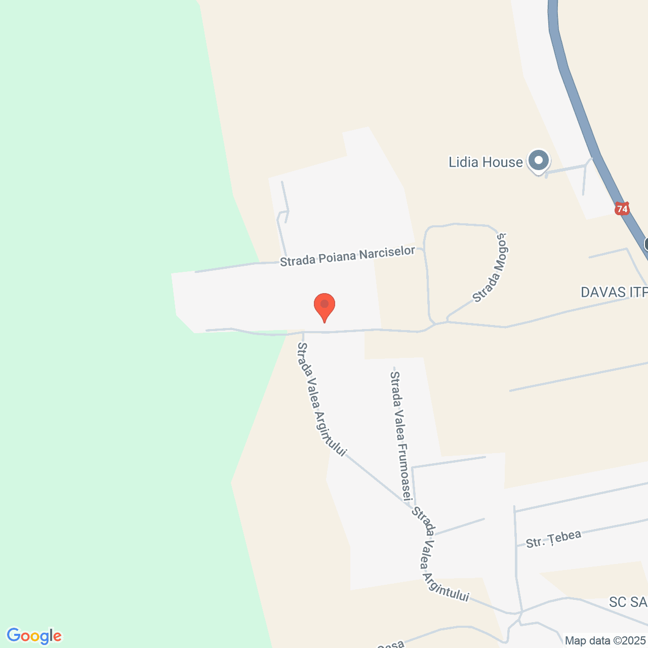 Poza harta streetview, zoom 16, adresa Micesti Alba, , judetul