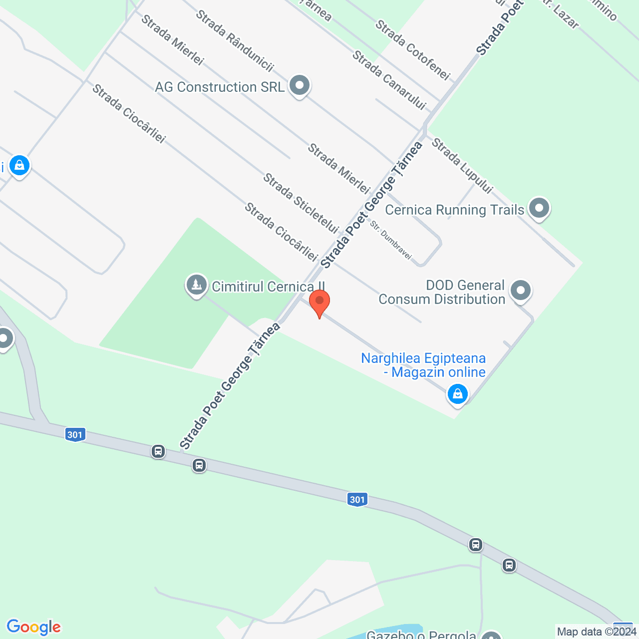 Poza harta streetview, zoom 16, adresa Pantelimon, , judetul