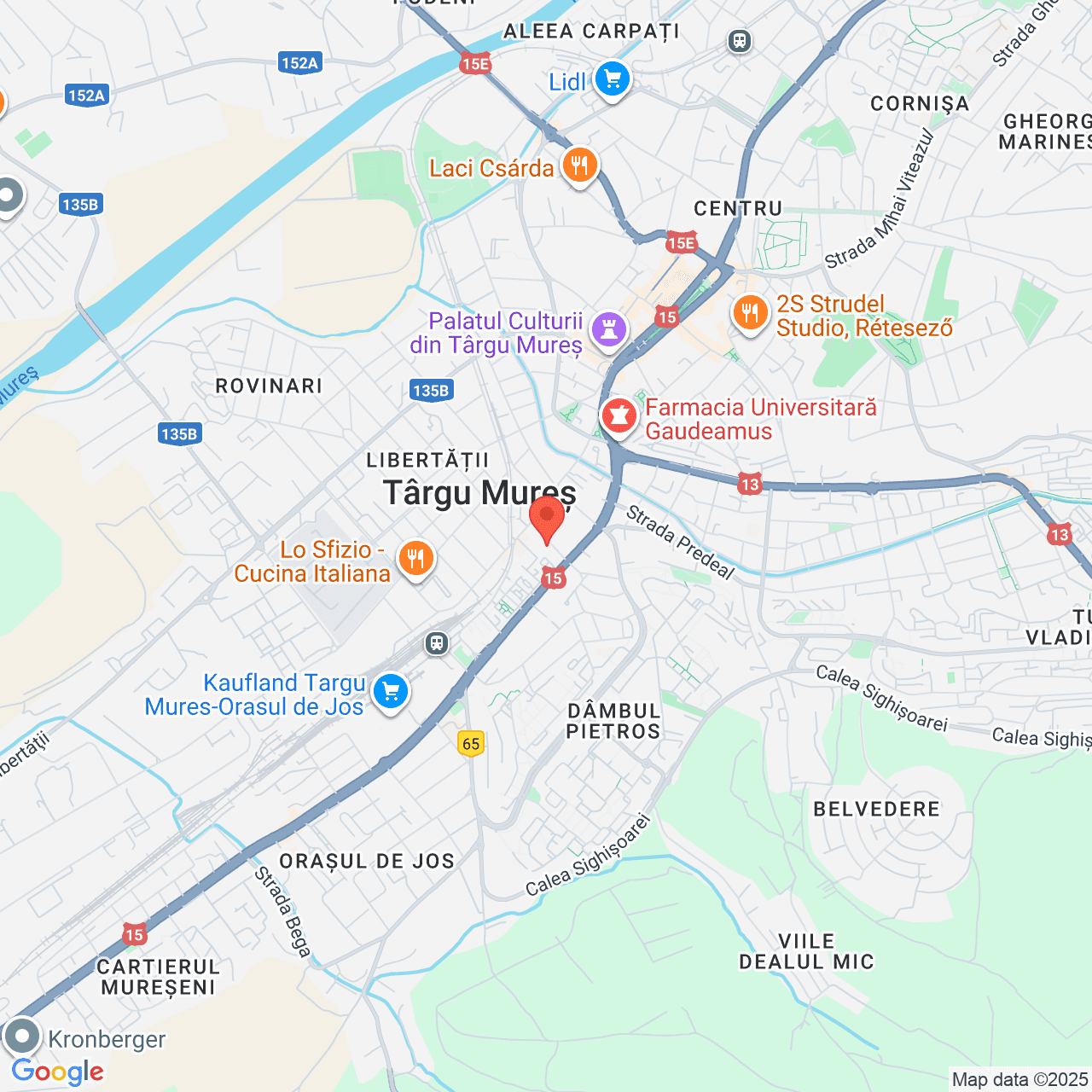 Poza harta streetview, zoom 14, adresa Târgu Mureș, str. Lăpușna nr. 9, , judetul