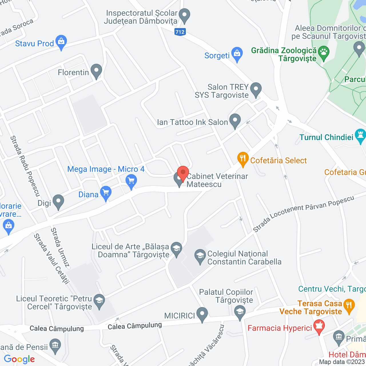 Poza harta streetview, zoom 16, adresa Targoviste, , judetul