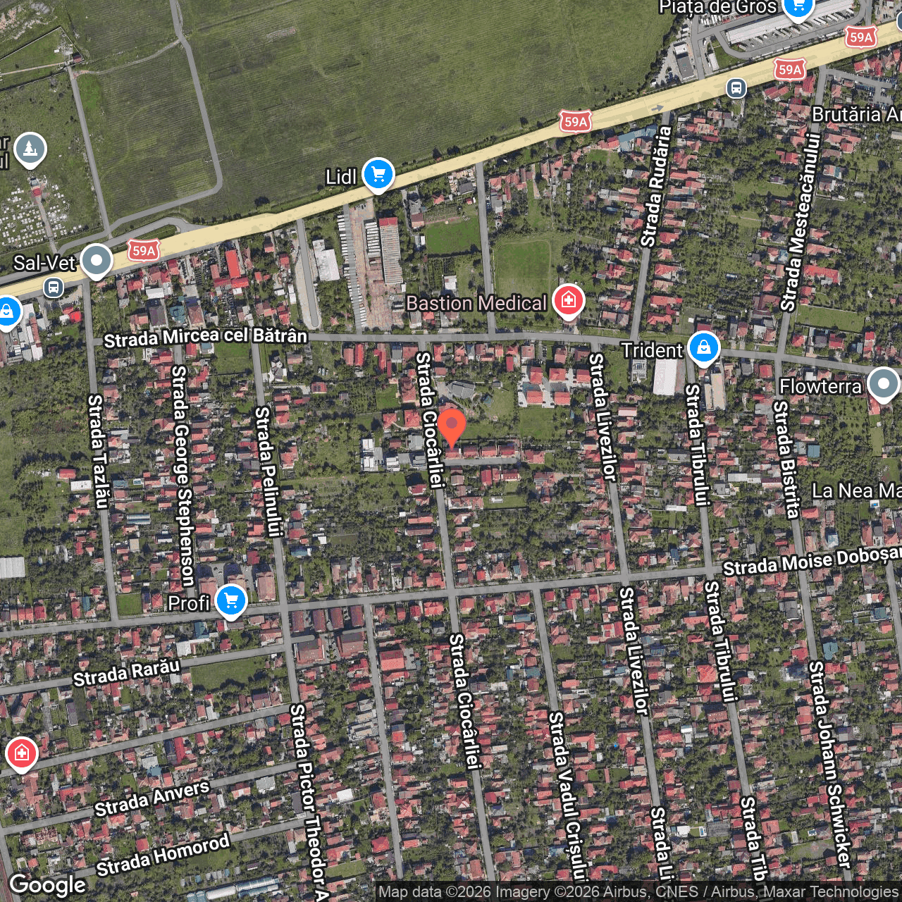 Poza harta hybrid, zoom 16, adresa Timișoara, Intrarea Petre Păcurariu, nr.1-3, , judetul