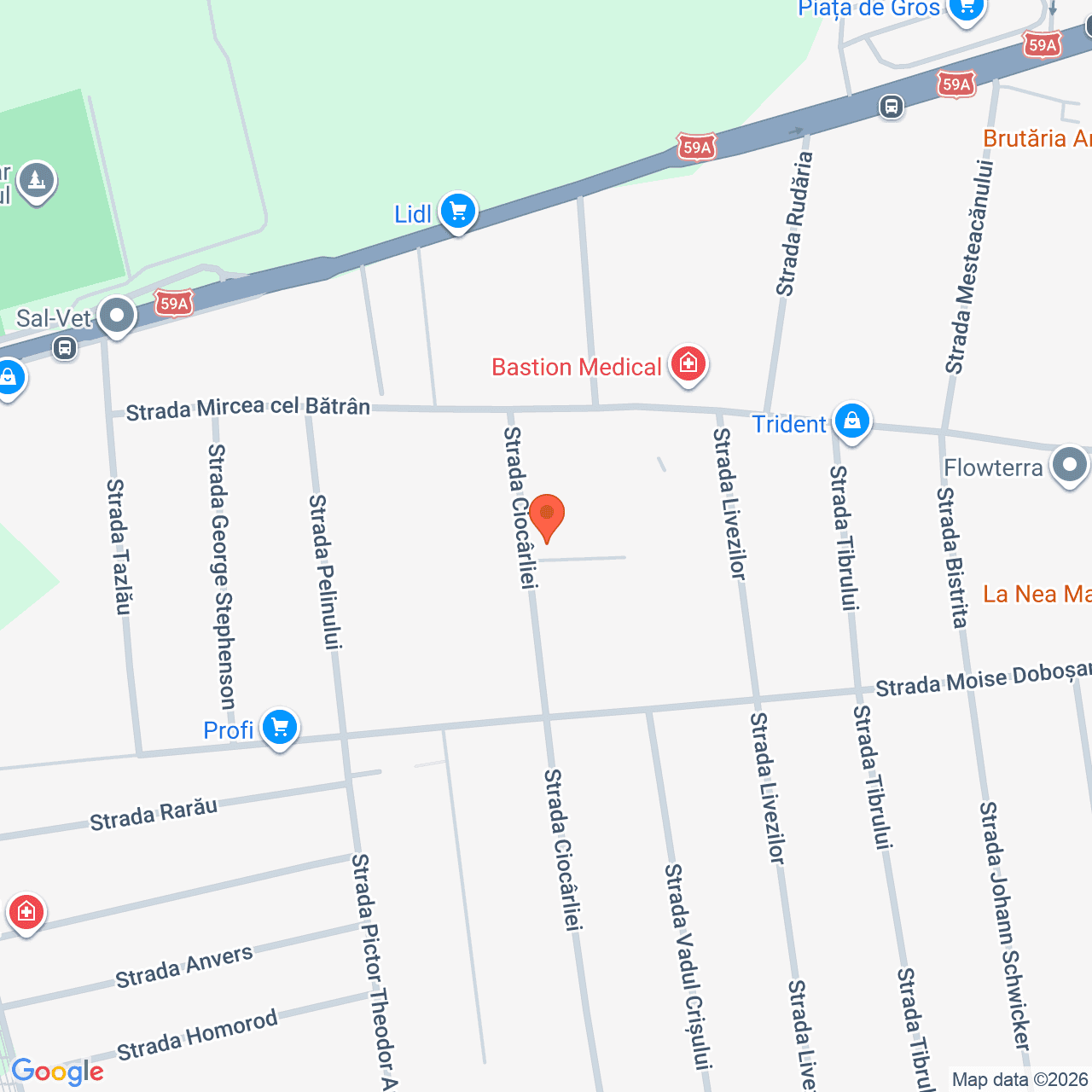 Poza harta streetview, zoom 16, adresa Timișoara, Intrarea Petre Păcurariu, nr.1-3, , judetul