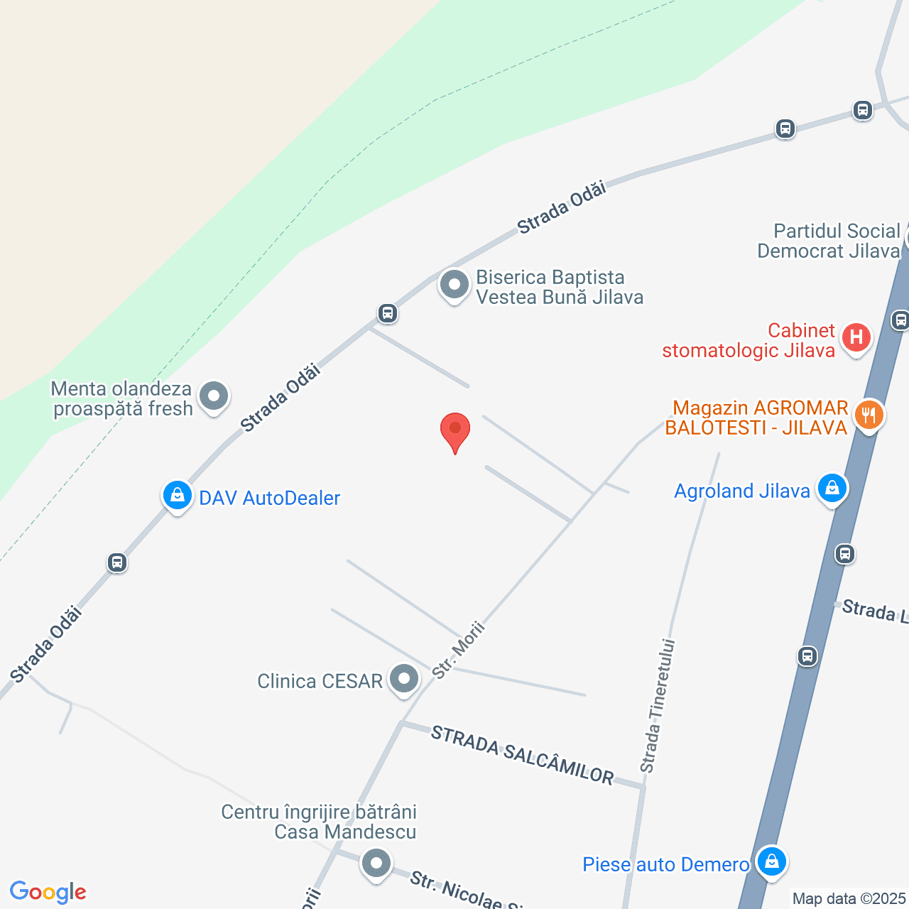 Poza harta streetview, zoom 16, adresa Jilava, str. Morii, nr. 87, , judetul