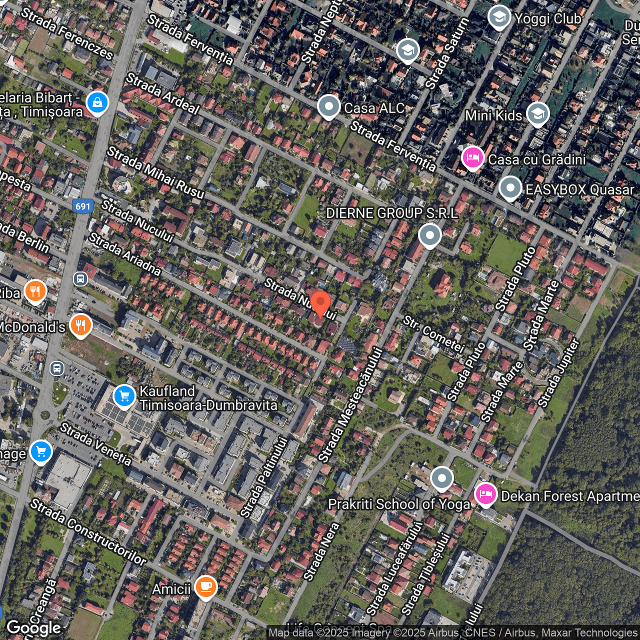 Poza harta hybrid, zoom 16, adresa Dumbrăvița, Str Nucului, Nr. 33, , judetul