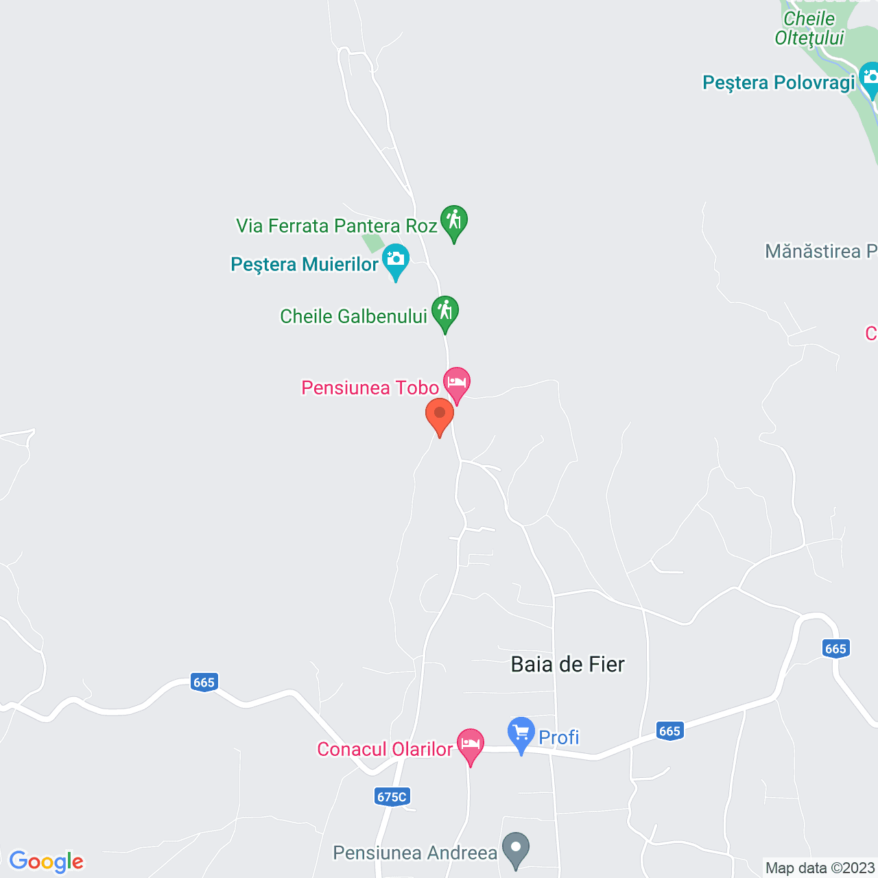 Poza harta streetview, zoom 14, adresa Baia de Fier, , judetul