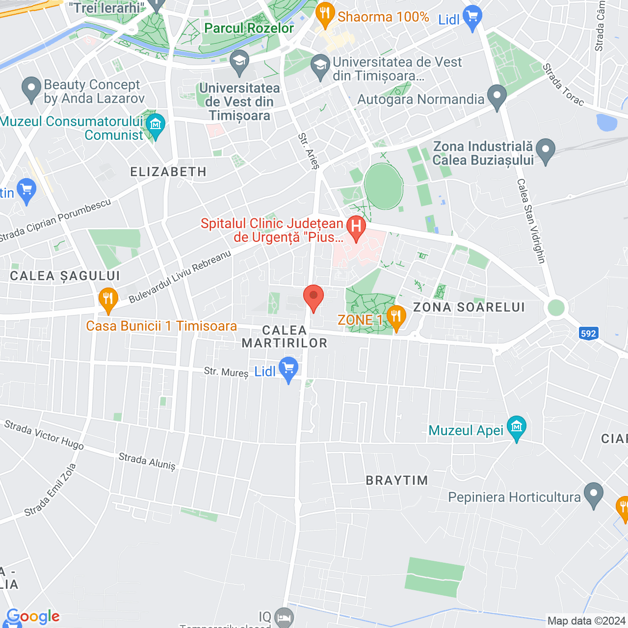 Poza harta streetview, zoom 14, adresa Timișoara, str. Elena Nicoară nr. 16, , judetul