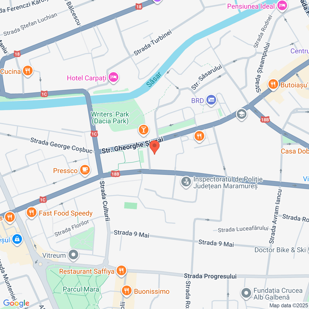 Poza harta streetview, zoom 16, adresa Baia Mare, Piata Revolutiei nr. 1, , judetul