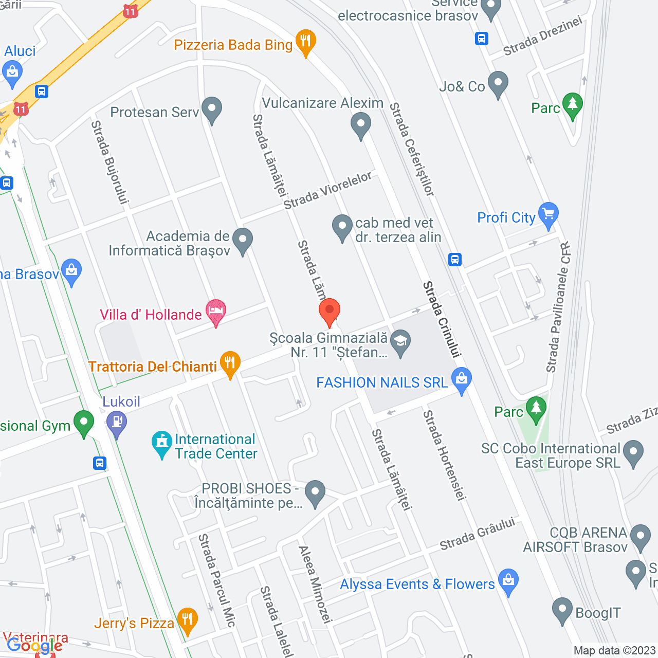 Poza harta streetview, zoom 16, adresa Branduselor 71 Brasov, , judetul