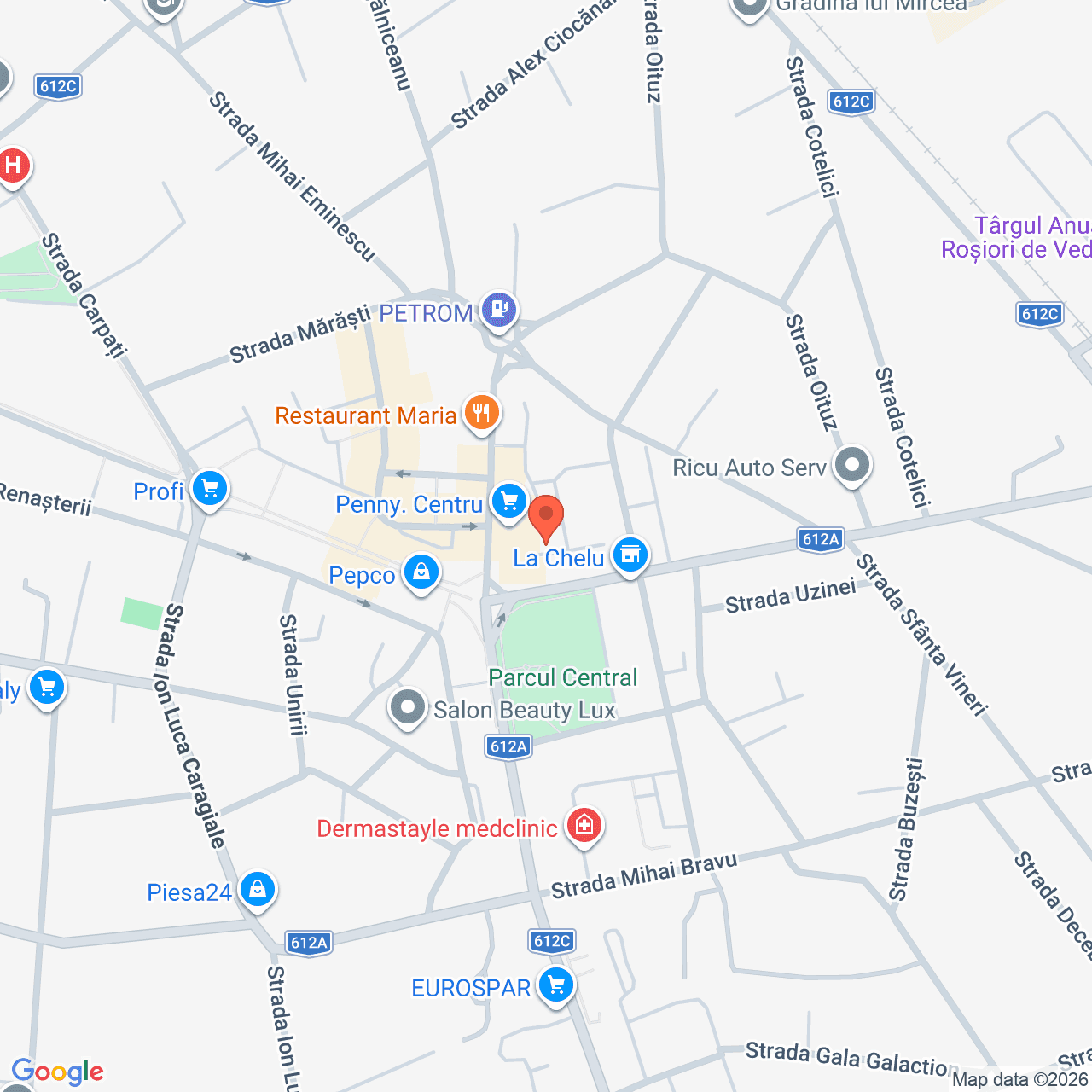 Poza harta streetview, zoom 16, adresa Rosiorii de Vede Teleorman, , judetul