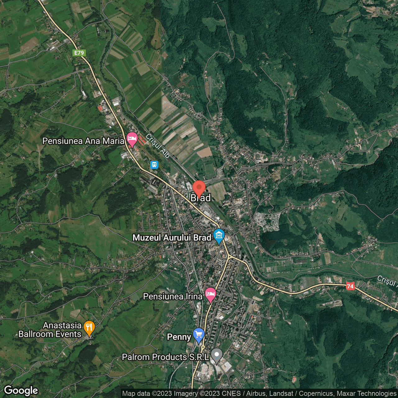 Poza harta hybrid, zoom 14, adresa Brad Hunedoara, , judetul