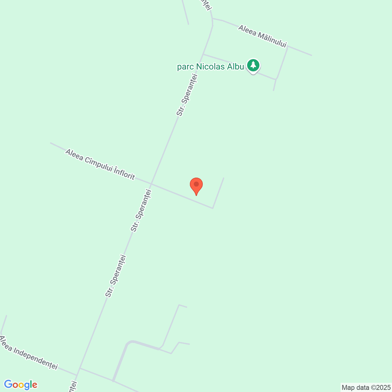 Poza harta streetview, zoom 16, adresa Nicolae Balcescu Constanta, , judetul