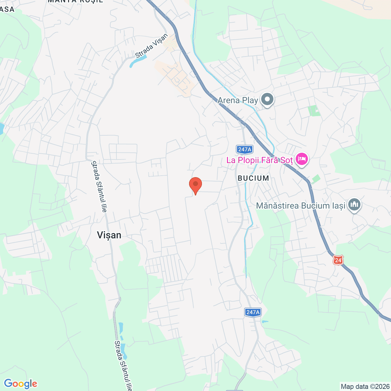 Poza harta streetview, zoom 14, adresa Iaşi, Fundac Bucium Nr. 85, , judetul