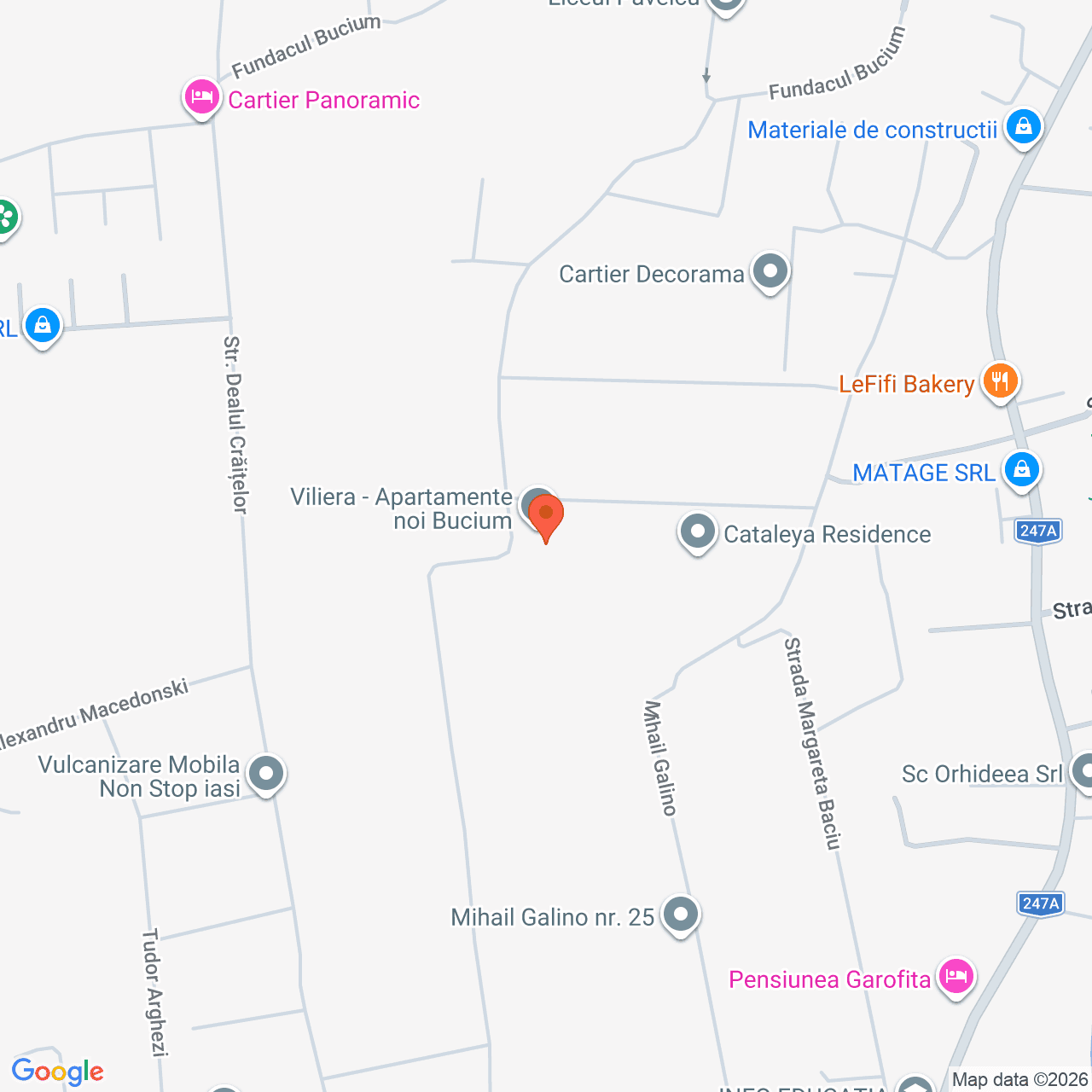 Poza harta streetview, zoom 16, adresa Iaşi, Fundac Bucium Nr. 85, , judetul